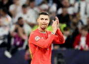 开云体育平台APP-包含葡萄牙代表队员奋力上升成功晋级的词条