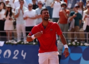 开云体育app-美国网球队力克法国网球队，德约科维奇打破历史纪录的简单介绍