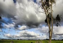 开云体育中国-关于丹麦队横扫泰国队，石宇奇高光表现的信息