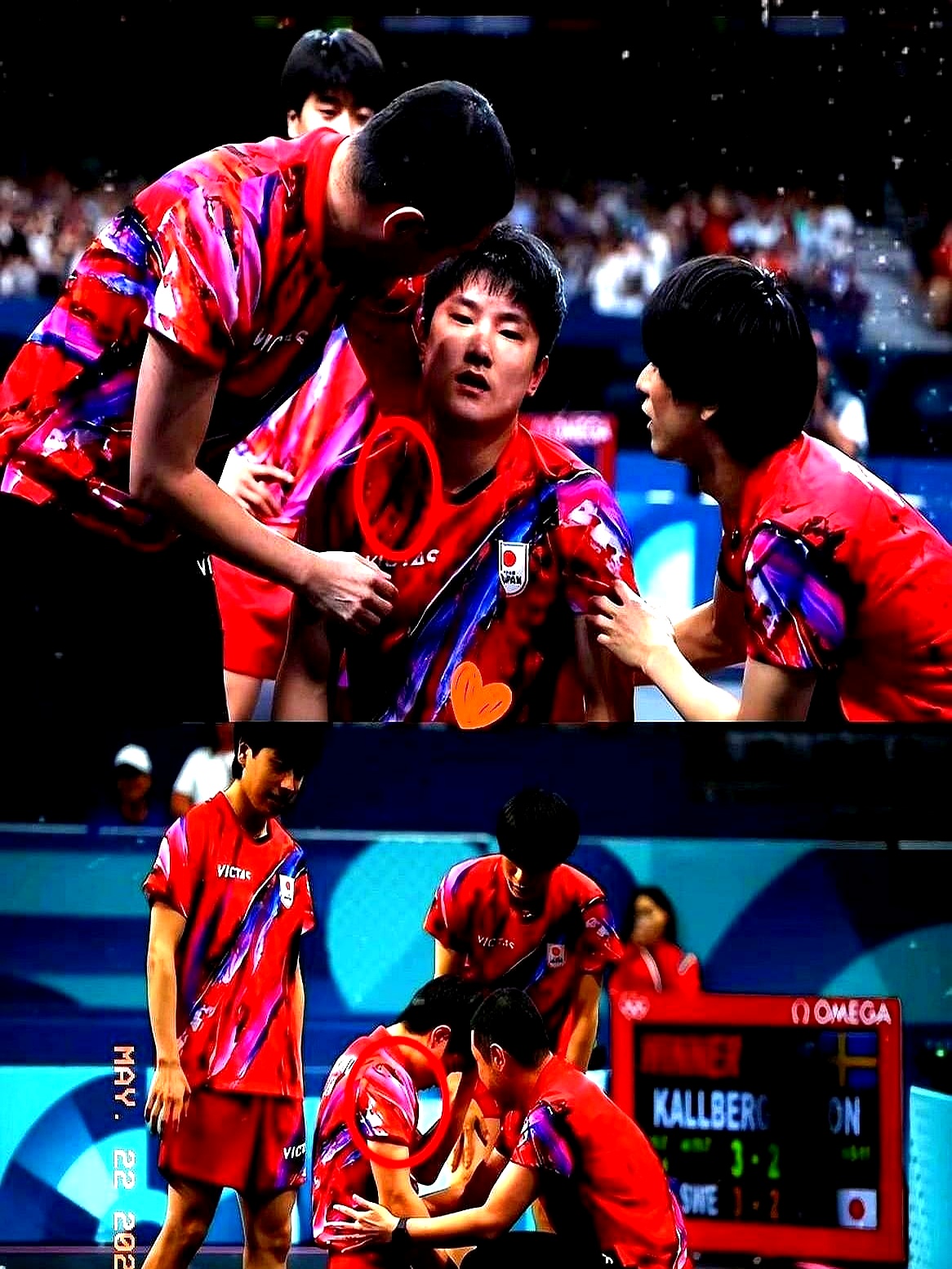 关于波兰乒乓球队翻盘法国乒乓球队,张本智和打破历史纪录的信息 关于波兰乒乓球队翻盘法国乒乓球队,张本智和打破历史纪录的信息